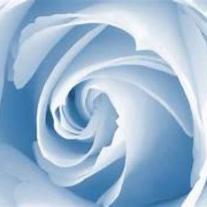 Meet your Posher, Maya